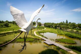 Terres d'oiseaux